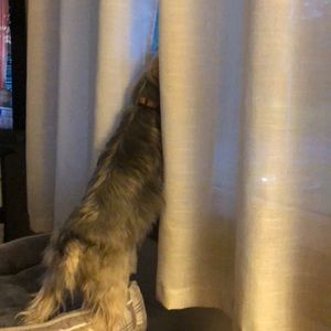 Meet your Posher, Cheryl